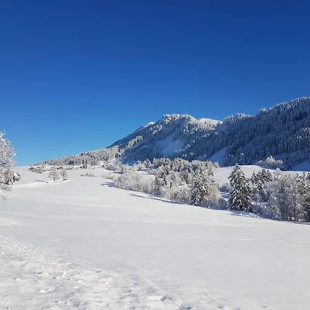 木屋 4-sterne Tiny House & Erholsame Ruhe Und Ganz Viel Im Oberallgaeu 维尔塔赫