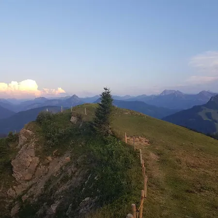 4-sterne Tiny House & Erholsame Ruhe Und Ganz Viel Im Oberallgaeu 维尔塔赫