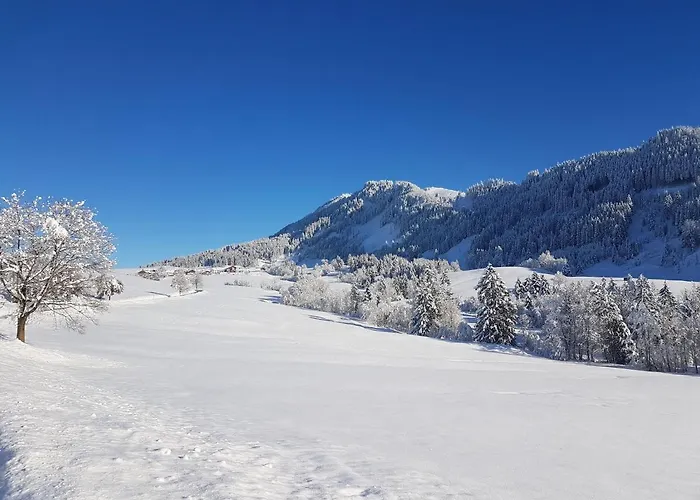 شاليه 4-sterne Tiny House & Erholsame Ruhe Und Ganz Viel Im Oberallgaeu فيرتاخ