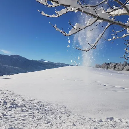 Chalet 4-sterne Tiny House Als Rueckzugsort Fuer Naturliebhaber Im Oberallgaeu *